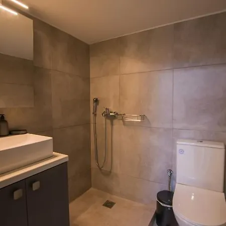 Oculus Dafni Loft B Apartment Athens